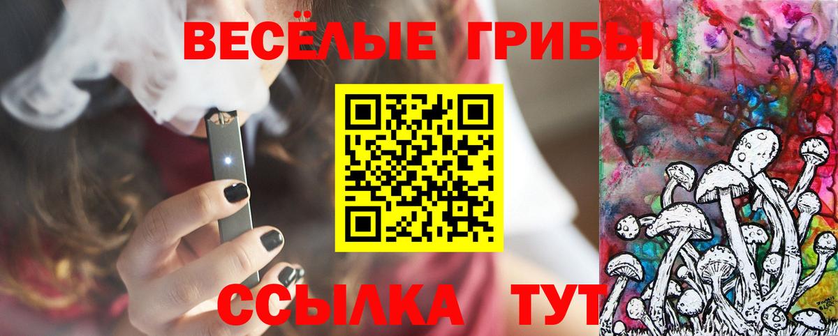 Псилоцибиновые грибы GOLDEN TEACHER Симферополь